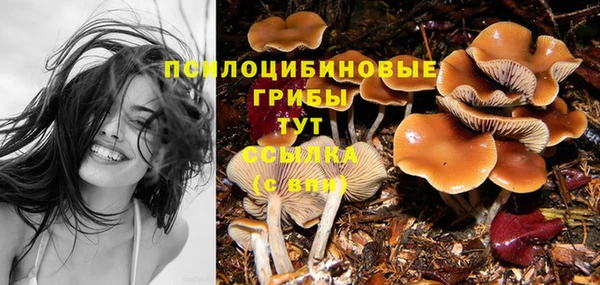 твердый Покачи