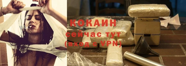 твердый Покачи