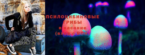 стаф Покров