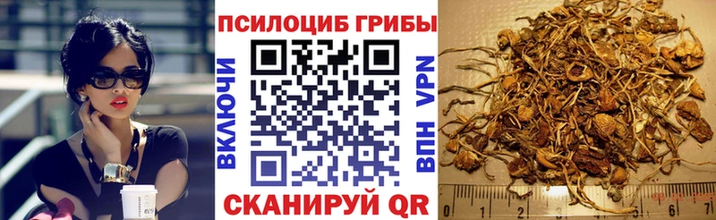 Псилоцибиновые грибы Cubensis  Тарко-Сале 